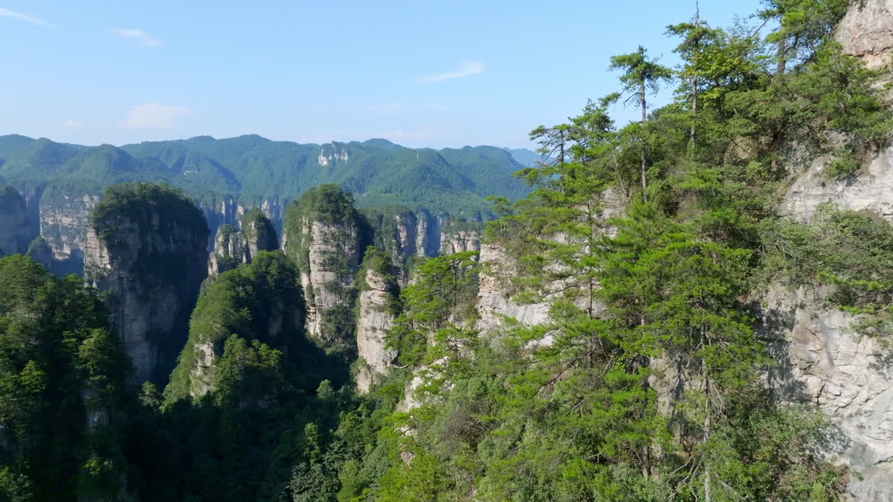 Drone flying close to mountain trees in Zhangjiajie natural forest park, China