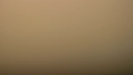 las fugas de luz del elemento 25