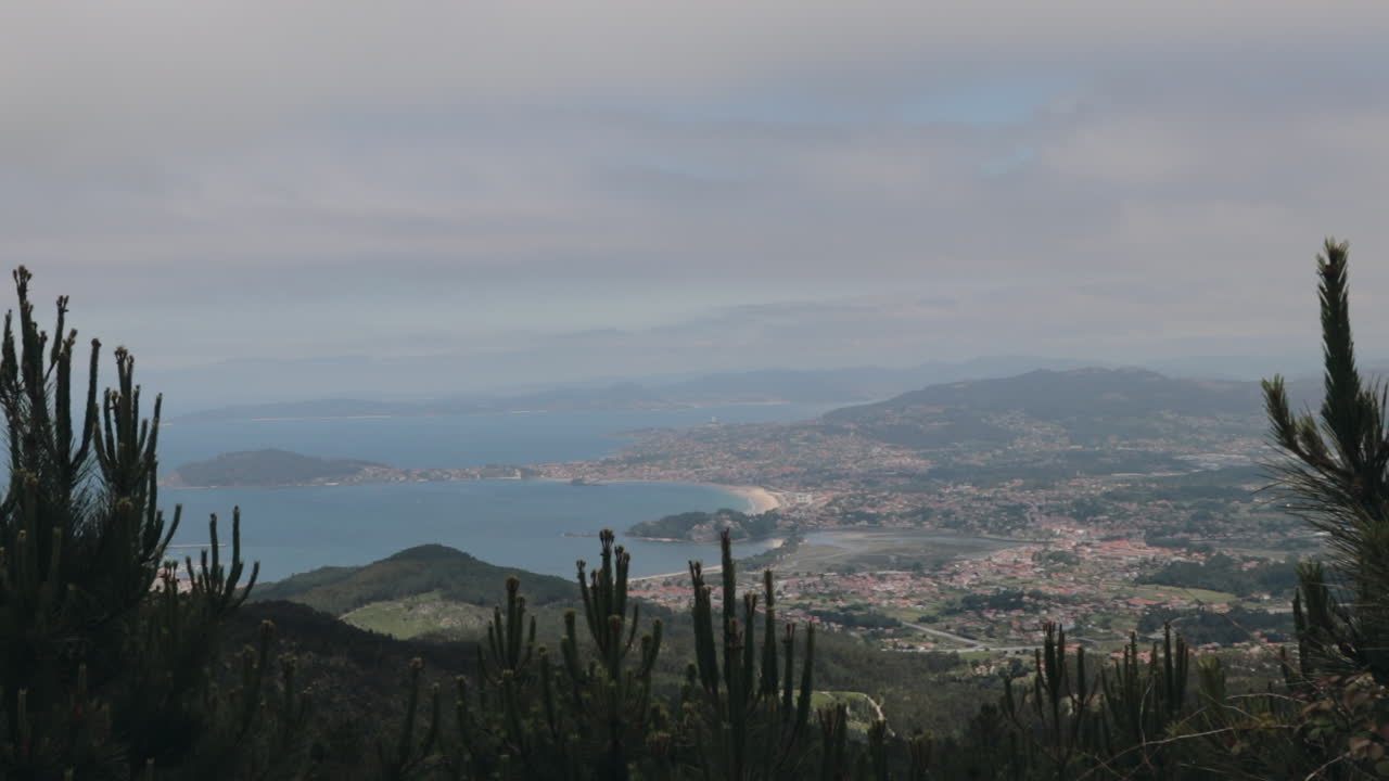 나무를 통해 해안 도시의 높은 전망