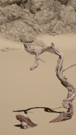 twisted dead tree in a desert landscape