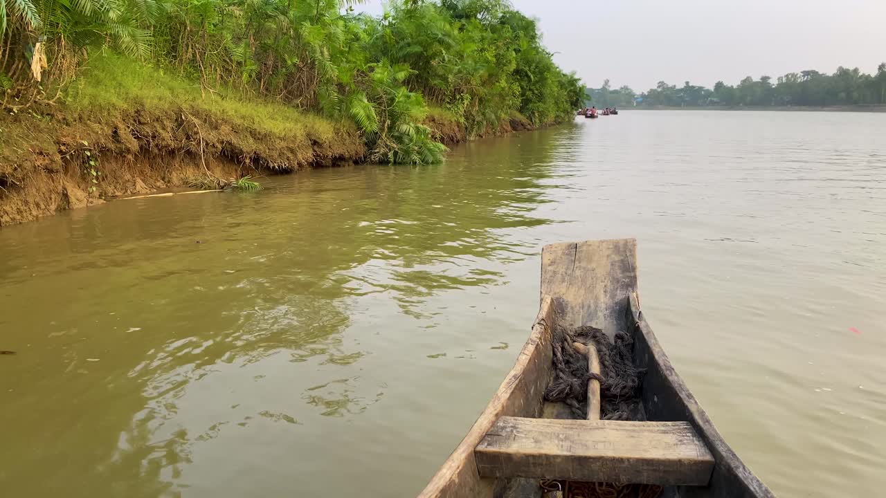 pov, en un barco en el río gowain, ratargul, pasando plantas interesantes y la orilla en un día gris, sylhet, bangladesh