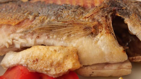 close-up of a grilled fish with tomato