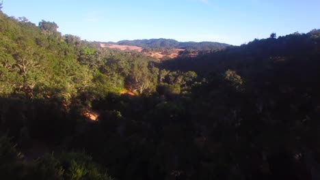 Imágenes-Aéreas-De-Los-Robles-Y-Granjas-De-Rolling-Hills-En-El-Centro-De-California-1