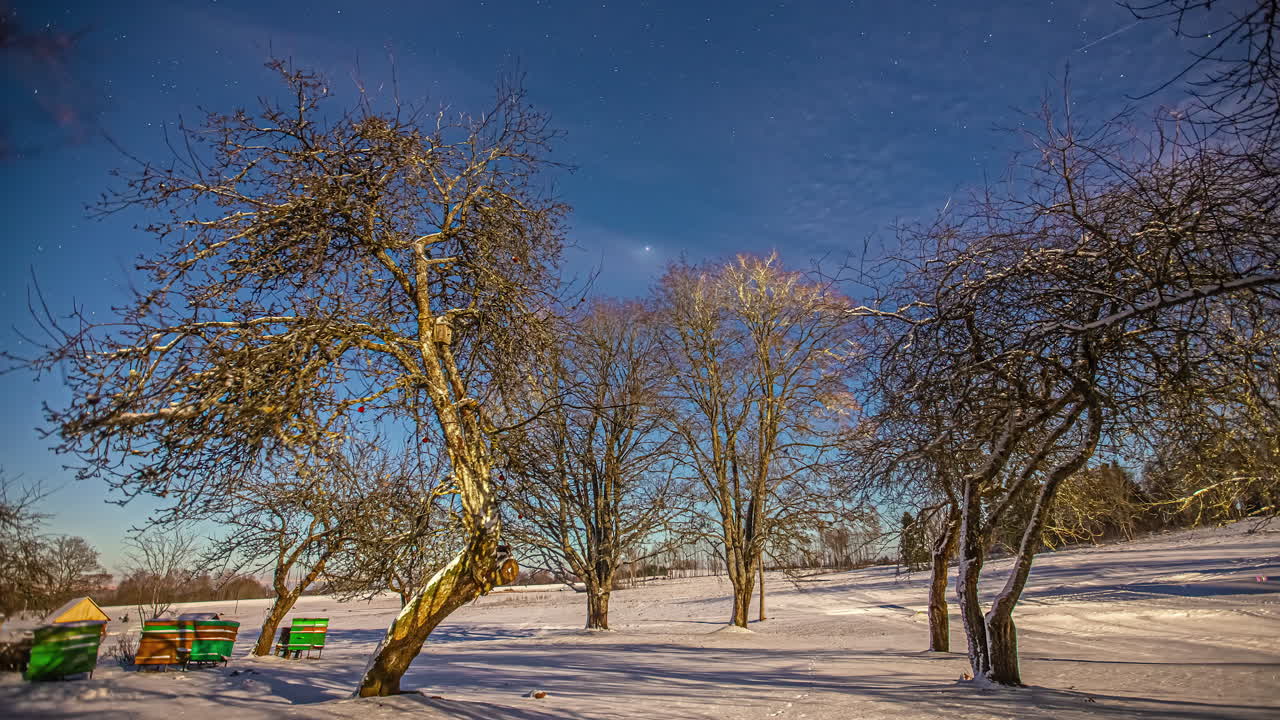 겨울에 잎이 없는 나무가 있는 설원에서 별과 함께 하늘에서 떠오르는 달의 저속 촬영