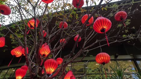 illuminated red lanterns hanging from tree branches