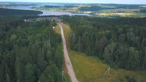 aerial view of forest road and lake