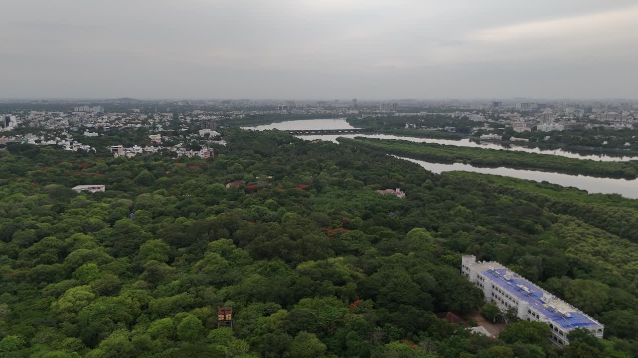 Wide aerial of Besant Nagar area covered with thick trees during sunset