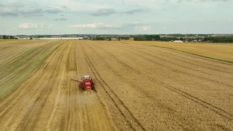 Harvesting-wheat-with-a-combine-harvester-under-a-clear-sky