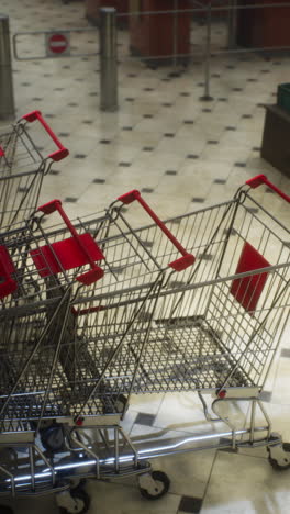 empty shopping carts in a supermarket