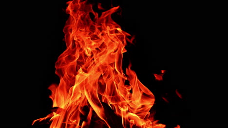 large campfire rising up in the dark night. dangerous flames lean to the side in the wind.