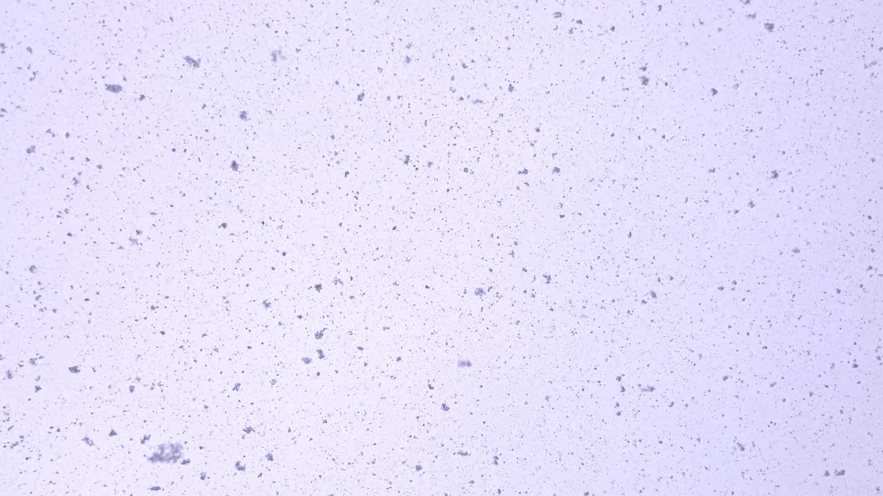 겨울의 날에 눈이 내리면 큰 눈조각이 하늘에서 떨어지고, 눈조각은