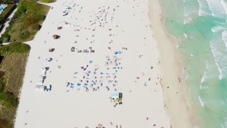 a top-down drone view vividly captures sunbathers, umbrellas, and waves on the iconic sands of south beach, miami.