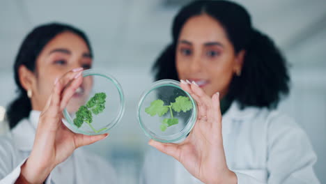 Petri-dish,-leaves-and-sample-with-scientist-women