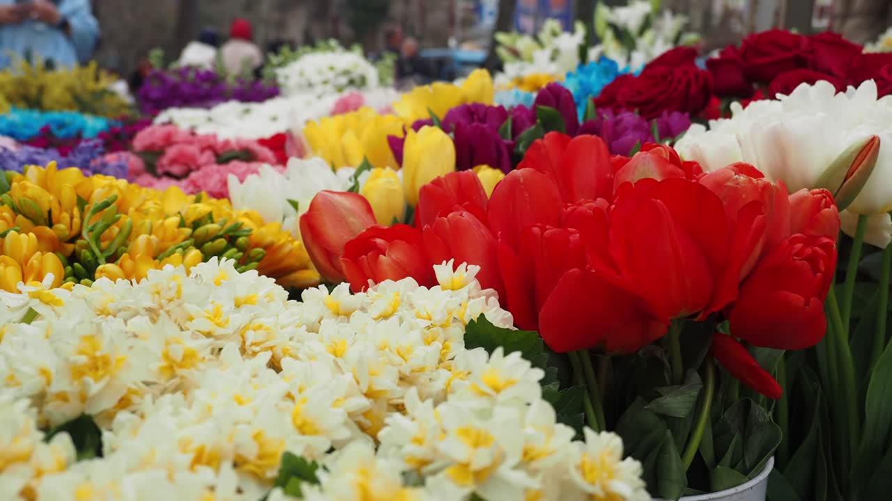 una colorida exhibición de flores en un mercado callejero