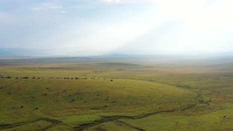 perfect green grasslands of pester, serbia - aerial