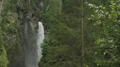 experience the serene beauty of an austrian forest waterfall surrounded by trees