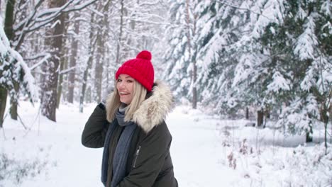 rear view of woman walking in winter forest