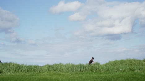 bike touring cyclist cycling from left to right trough frame in tall grass, in summer, in norway