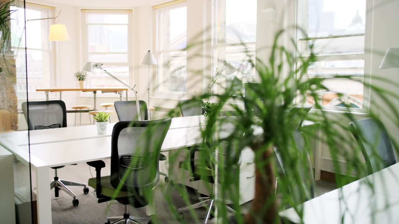 현대적이고 밝고 협업적인 공동 작업 공간