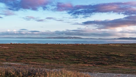 Vast-open-scape-of-the-autumn-tundra-on-Varanger