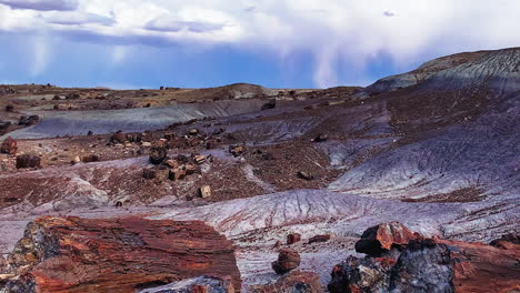 toma estática del bosque de cristal en el parque nacional del bosque petrificado