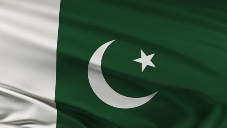 pakistan flag waving on wind seamles loop 3d animation. 4k resolution.