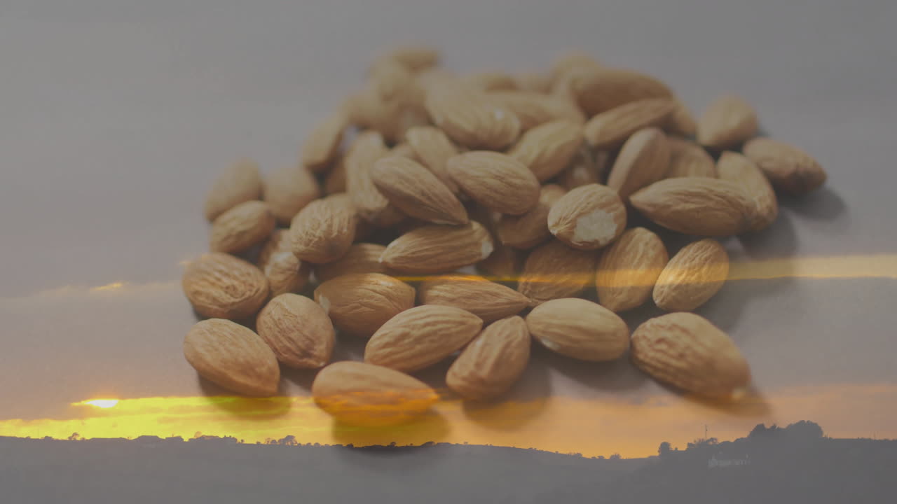 Scattered almonds in sunset landscape, blending nature and agriculture themes