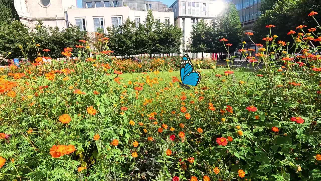 A butterfly flutters gracefully through a colorful garden, showcasing dynamic movement and vibrant floral scenery in a sunny setting