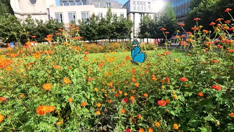 a butterfly flutters gracefully through a colorful garden, showcasing dynamic movement and vibrant floral scenery in a sunny setting