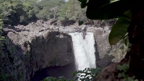 grandes cantidades de agua que fluyen sobre la parte superior del arco iris caen con un árbol tropical en primer plano