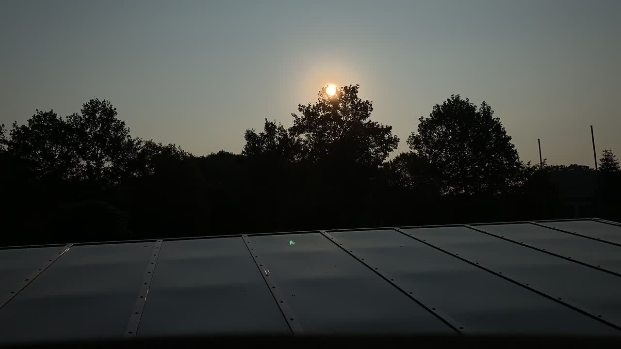 아침에 숲속의 나무들 사이로 아름다운 저속 일출