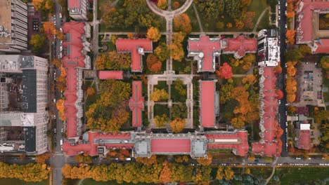 aerial view of university of chicago looking down with fall foliage