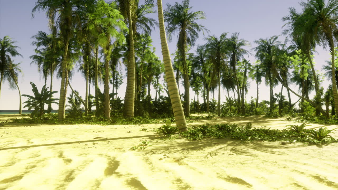Lush tropical landscape with palm trees and sandy beach at sunny midday