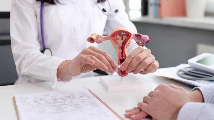 Gynecological Consultation with Uterus Model