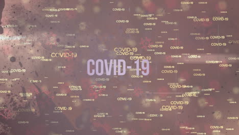 animación de una palabra covid-19 sobre las palabras covid-19 y macro covid-19 células iconos flotantes