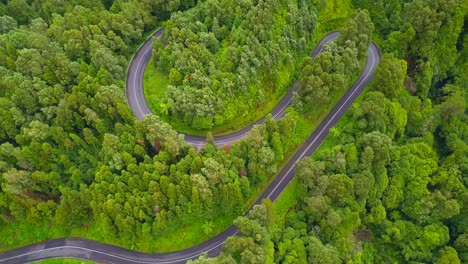 Vista-Aérea-De-Un-Automóvil-Que-Conduce-A-Lo-Largo-De-Un-Camino-Solitario-Y-Sinuoso-A-Través-Del-Bosque-Subtropical