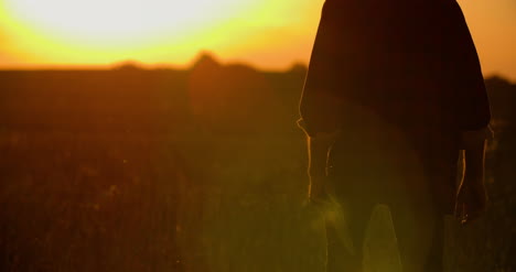 Farmer-Using-Digital-Tablet-At-Farm-Against-Sunset-6