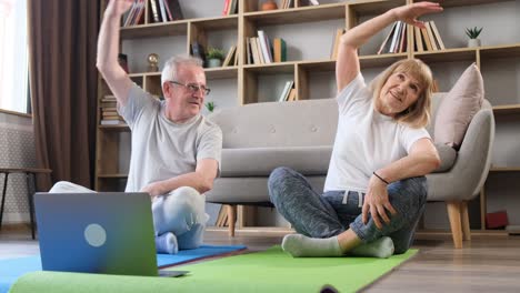 senior happy couple doing fitness at home joint yoga classes senior happy couple doing fitness at home joint yoga classes healthy lifestyle harmony with oneself