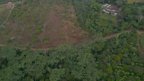 Zenith-view-with-drone-above-coffee-fields-of-colombian-mountains-at-a-foggy-morning-in-Colombia