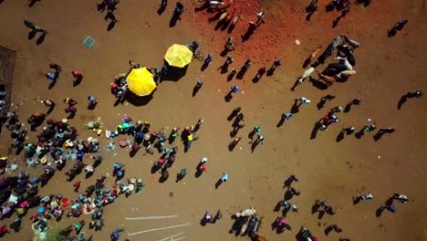 people at the native town market near moroto village in uganda, east arica