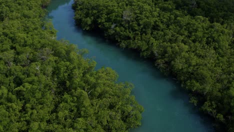 bird's-eye-aerial-drone-shot-flying-over-a-small-winding-tropical-turquoise-river-surrounded-by-exotic-green-foliage-near-the-beach-town-of-Barra-de-Cunhaú-in-Rio-Grande-do-Norte,-Brazil