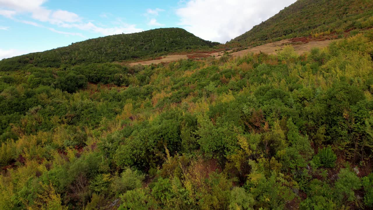 follaje colorido de arbustos y prados en las colinas en otoño
