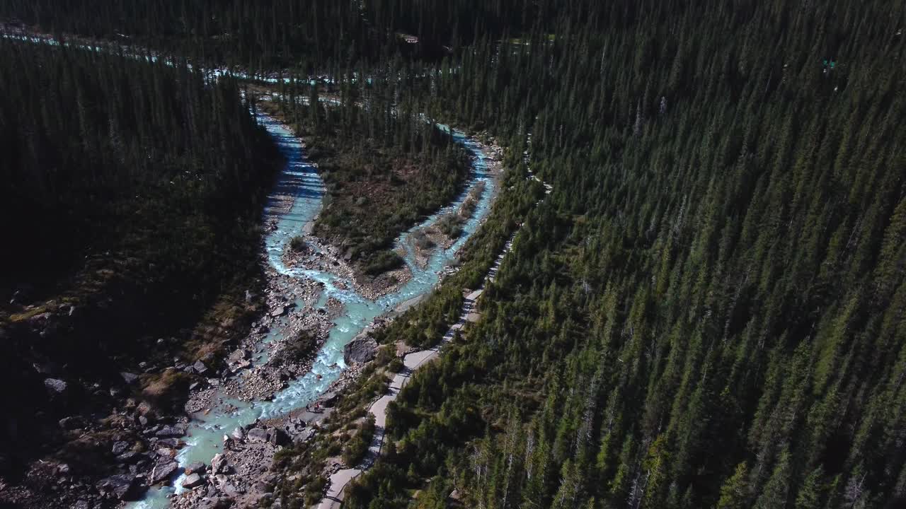 Hikers walking next to the river in the forest