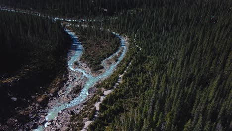 Hikers-walking-next-to-the-river-in-the-forest