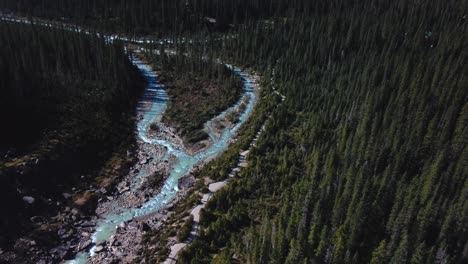excursionistas caminando junto al río en el bosque