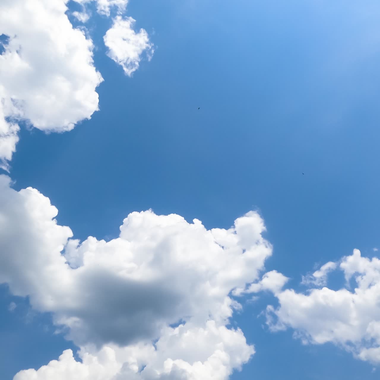 Beautiful sunrays coming through the light soft clouds in the blue summer sky. Timelapse low angle view