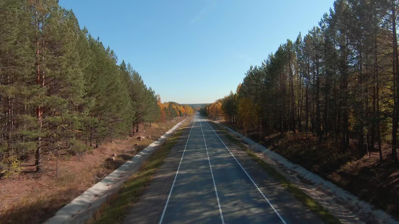 Riprese con drone FPV che vola sopra una strada asfaltata dritta e vuota attraverso una pineta con colori autunnali e cielo sereno, percorso di trasporto panoramico di campagna alla luce del giorno.