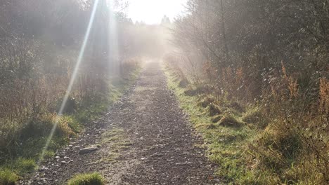 Camino-Brumoso-Brumoso-Iluminado-Por-La-Mañana-Con-Bengalas-Solares-Y-Bosques-En-Ambos-Lados-Del-Reino-Unido-4k