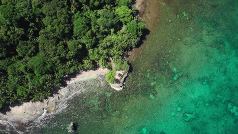 aerial top view of manzanillo national park, costa rica. tropical beach. vegetation on the beach.