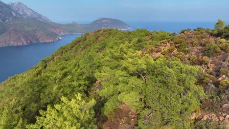 vista aérea del paisaje montañoso costero con un bosque verde exuberante
